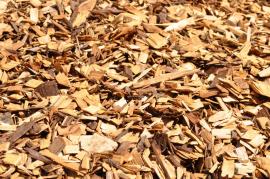 Woodchips Spruce |  Firewood, briquettes | SCOPULUS Handels-und Dienstleistungs GmbH 